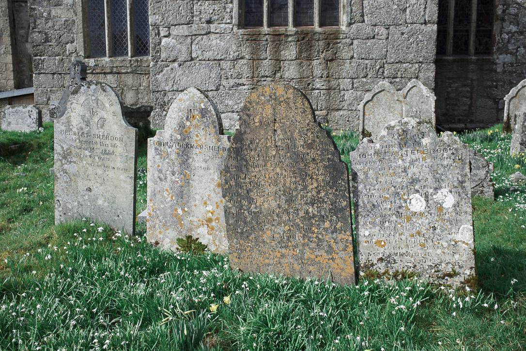 A photograph of gravestones